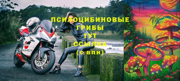 шишки Баксан