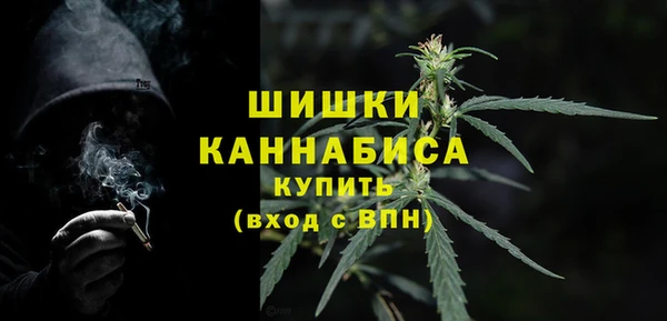 шишки Баксан
