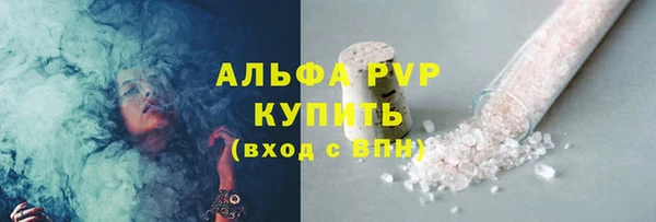 шишки Баксан