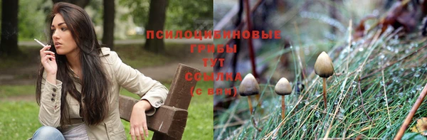 прущая мука Балабаново